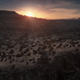 Logan’s Eden. (Screengrab: Youtube)